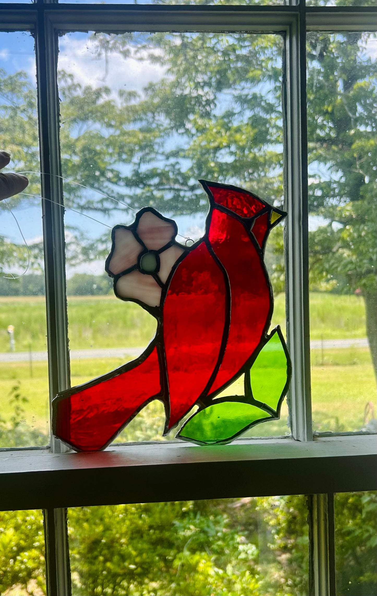 Stained glass red Cardinal